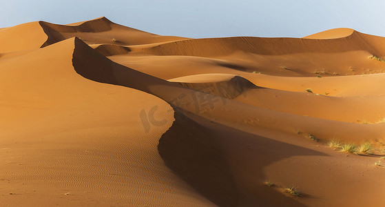 撒哈拉沙漠沙丘全景