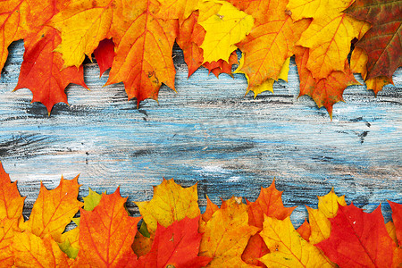 蓝色复古背景上橙色和红色枫叶的明亮秋季背景