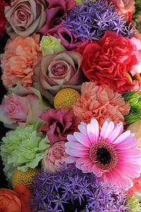 混合插花：婚礼用不同柔和色彩的各种花
