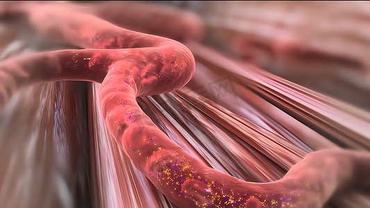 吸收甲醛摄影照片_胰岛素告诉全身细胞从血液中吸收葡萄糖