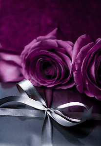 豪华假日银礼盒和紫玫瑰作为圣诞节、情人节或生日礼物