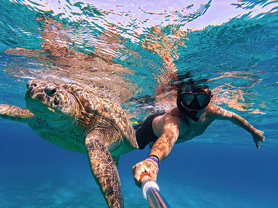 水龟摄影照片_与绿海龟一起浮潜游泳，埃及马萨阿拉姆