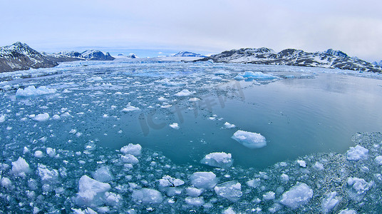 漂流浮冰和雪山，阿尔伯特一世地，北极