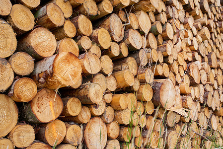 木堆 - 木材工业。