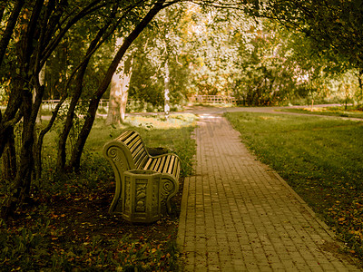 公园小路上树木间的大长凳，秋天背景，道路