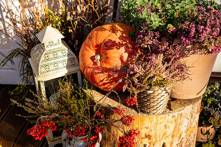 秋季家庭装饰摄影照片_季节性家庭花园秋季装饰，配有石南花、花盆、南瓜和带蜡烛的灯笼。秋季阳台或露台配有南瓜、灯和干叶