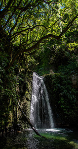 步行并探索亚速尔群岛圣米格尔岛的普雷戈萨尔托瀑布。
