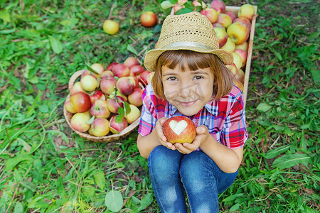 孩子在花园里的花园里摘苹果。