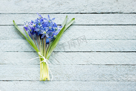 木质背景上的一束蓝色花，春天的花朵