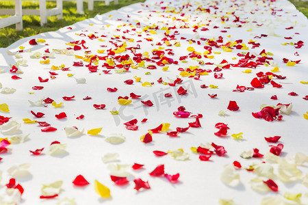 装饰礼花摄影照片_通往婚礼花拱门的织物路径，装饰着玫瑰花瓣。