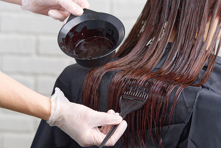 年轻女性 hairdressed 手染长头发给漂亮的女孩。