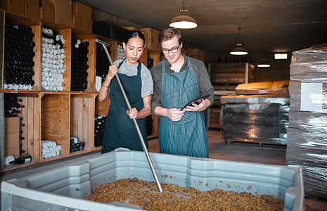 工业酒精摄影照片_酒精行业的农业、葡萄酒和葡萄园工人在酿酒厂压榨葡萄。