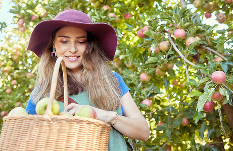 微笑的苹果农在她的农场收获新鲜水果。