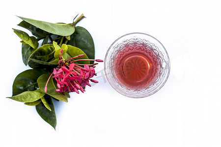 红色五角花或埃及星花或茉莉花的特写，在白色上隔离，其提取的草药和药用茶放在一个小透明玻璃碗中。