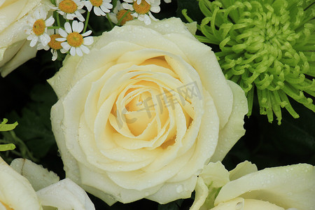 花卉婚礼装饰中的白色婚礼玫瑰，带有一些绿色