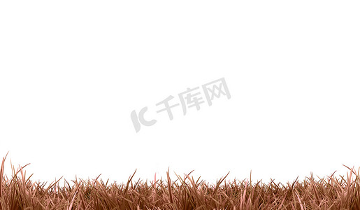横幅摄影照片_枯萎的棕色草（风景）|