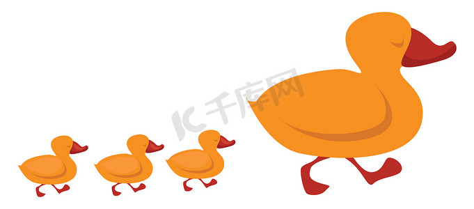 鸭子家族，插图，白色背景矢量