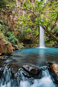 La Cangreja 瀑布 - 瓜纳卡斯特，哥斯达黎加
