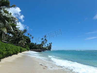 马卡雷海滩 (Makalei Beach)，海浪拍打、纳帕卡 (napakaa) 和沿岸的椰子树，度过美好的一天