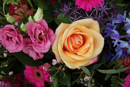 粉色玫瑰花瓣摄影照片_混合花束中的橙粉色玫瑰