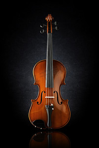 小提琴的前视图