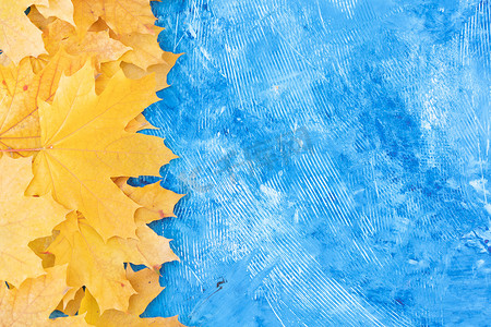 文本框橙色摄影照片_蓝色背景上的秋叶框顶视图秋天边界黄色和橙色叶子复古结构表复制文本空间。