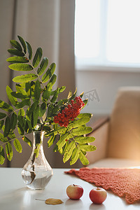 秋天的静物画，在舒适的家居室内的桌子上有罗文和苹果。