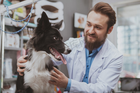 大胡子的男医生摄影照片_快乐的大胡子男兽医检查漂亮的狗