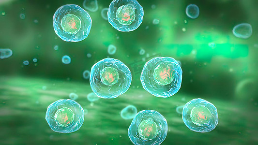 巨噬细胞在免疫系统中的作用