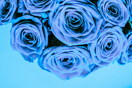 蓝色玫瑰的魅力豪华花束，鲜花盛开作为花卉节日背景