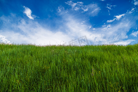 夏日通用绿草甸，蓝天白云