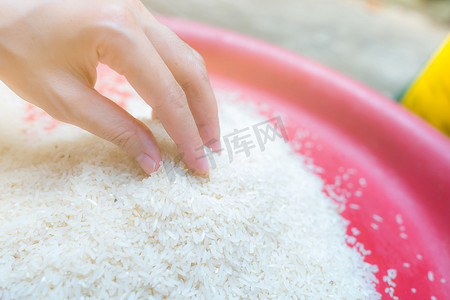 女人手拿着塑料托盘里的米饭。