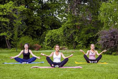 一群美丽健康、黏糊糊的年轻女性在公园的绿草地上做运动，坐在莲花姿势，闭上眼睛冥想。