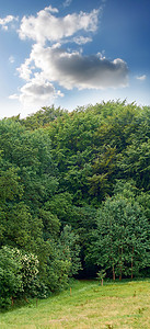 科普背景摄影照片_宁静的绿色田野的科普空间和风景，多云的蓝天背景。