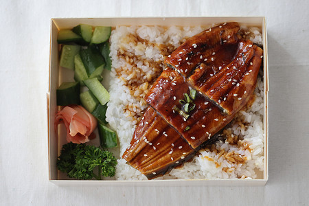 日本料理水彩摄影照片_日本料理鳗鱼烤米饭 Unagi don