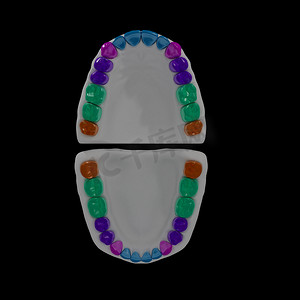 3d 牙科符号恒牙