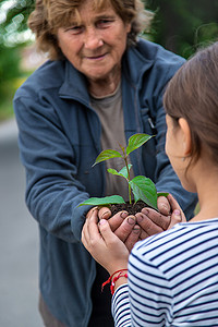 孩子和奶奶正在植树。