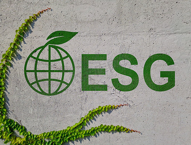 投资环境摄影照片_墙上刻有“ESG 环境、社会和治理”字样，还有一个地球仪和绿叶。