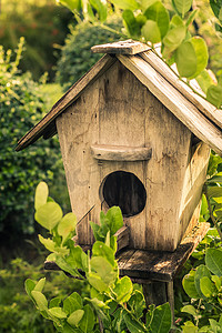 木制室外花园鸟类木巢屋在花园里筑巢。