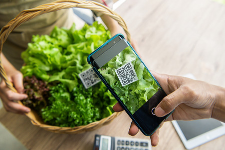 顾客从水培农场购买有机蔬菜，并在食品市场商店使用二维码扫描系统付款。