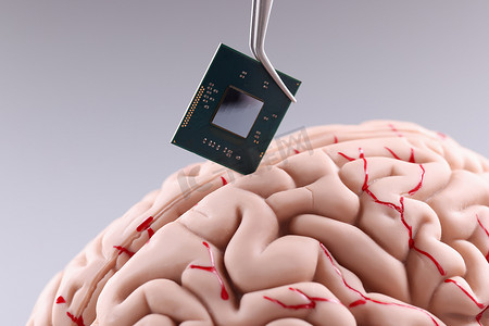人脑和计算机芯片。