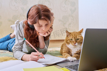 宠物学校学校摄影照片_青春期前的女孩用笔记本电脑和姜猫一起在家学习