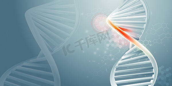 基因和细胞摄影照片_DNA 双螺旋链和科学数据信息图表。