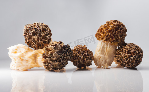 羊肚菌绘摄影照片_白色背景上的羊肚菌美味蘑菇