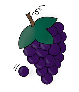 树枝上的葡萄的插图