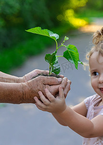 孩子和奶奶正在植树。