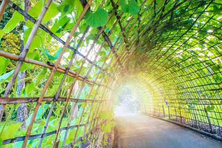 拱形隧道摄影照片_花园隧道。