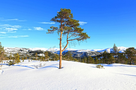 滑雪之旅