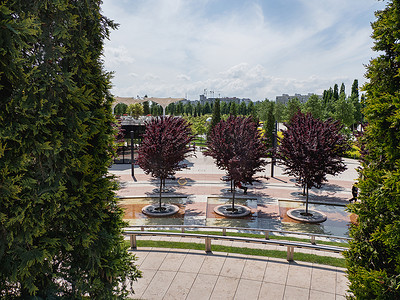 俄罗斯克拉斯诺达尔 — 2021 年 6 月 1 日。人们在克拉斯诺达尔现代公园的树影和小巷中休息。