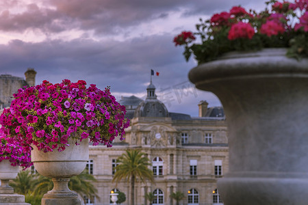 卢森堡花园和花坛花瓶在戏剧性的黎明，法国巴黎